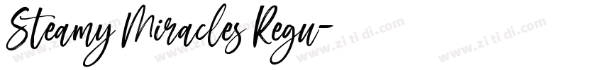 Steamy Miracles Regu字体转换